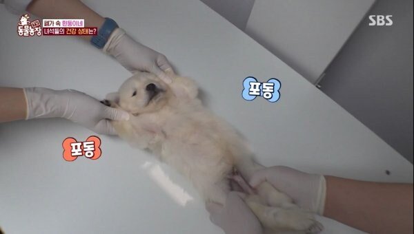 20250905001413_byH71SqJkU.jpeg