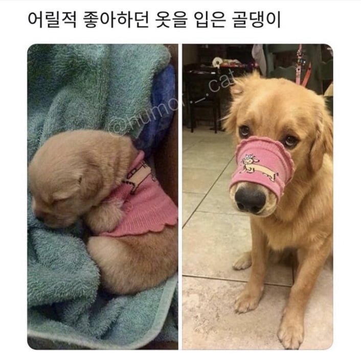 20250905030131_6PQo3TShdN.png