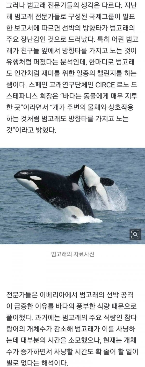 20250906142938_SUeXV2EiUO.jpeg