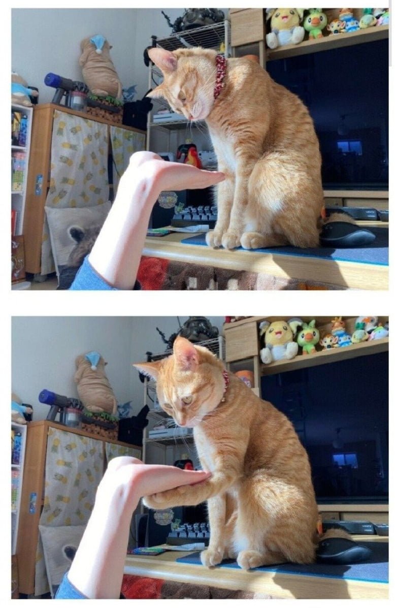 20250906163303_QX2QjUSGjT.png