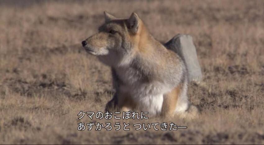 20250906174958_gXpywh91MV.jpg