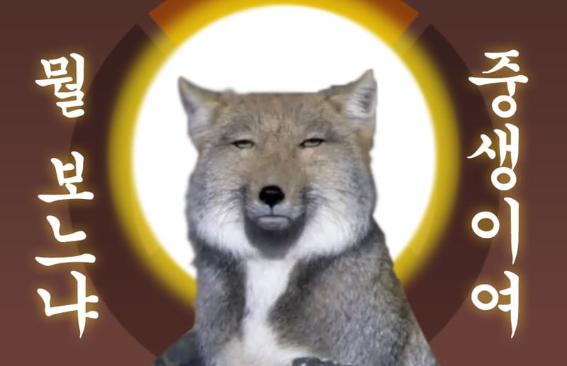 20250906175111_Wapzsc0MBu.png