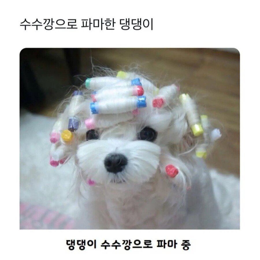 20250907111605_3chCM1XPgY.jpg