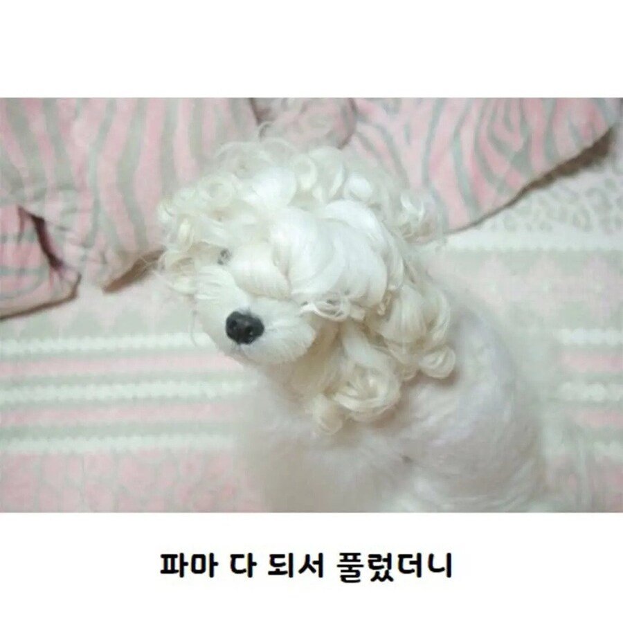 20250907111606_hotEuyu7iu.jpg