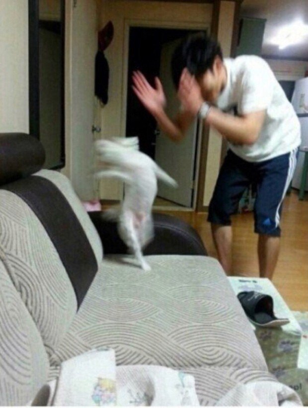 20250909131142_aDl1BSffDw.jpeg