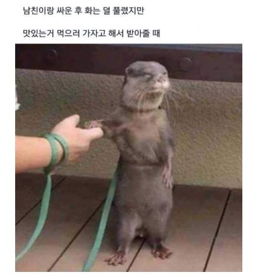 20250909153105_zPhg5k6buu.png