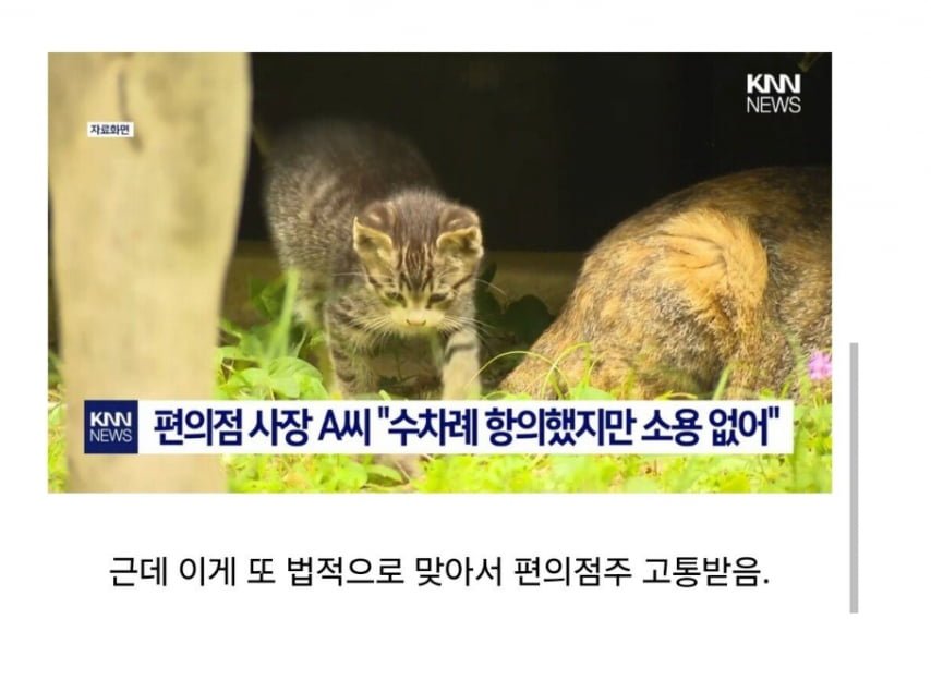 20250916144324_kHrB1kPtv2.png