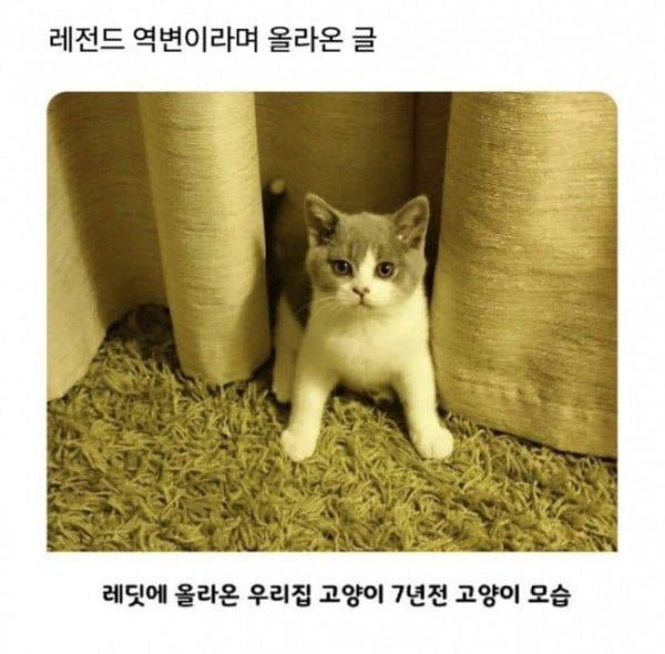 20250917144536_6bgMUJeOlc.png