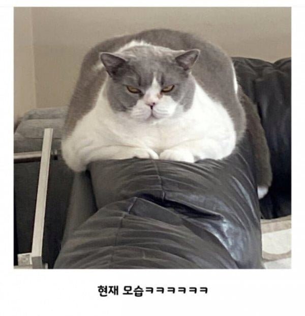 20250917144549_CinEdEbSwM.png