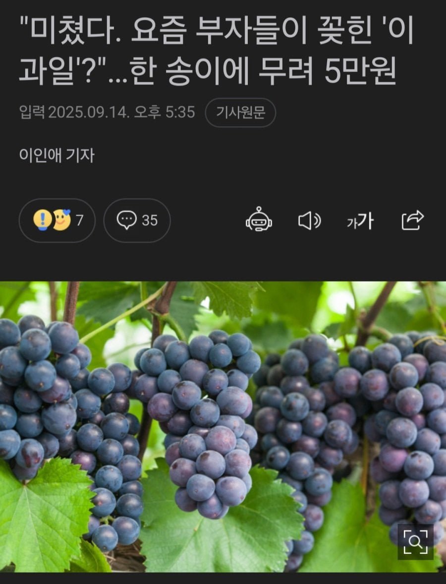 20250918080902_HPmGZUydPg.jpg