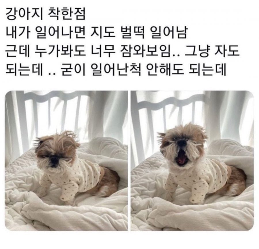 20250918222748_VZWp140iz2.png