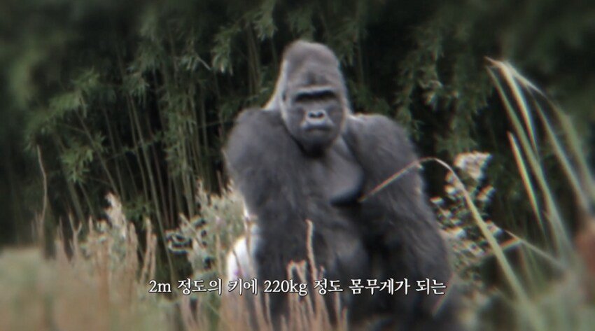 20250919073853_c3reRnPEov.png