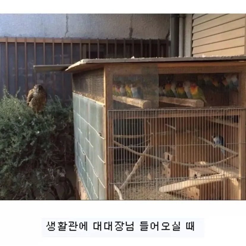 20250920141039_99kZy2ol6E.png