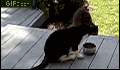 20250921141506_yaC6jwgHqB.gif