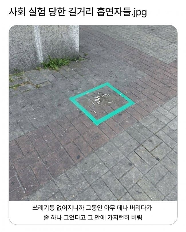 20250924073159_BMJBUCEDh8.jpg