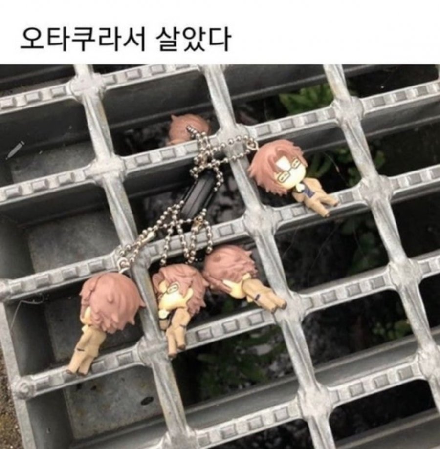 900w_20250905092302_jrDusq93hV.png