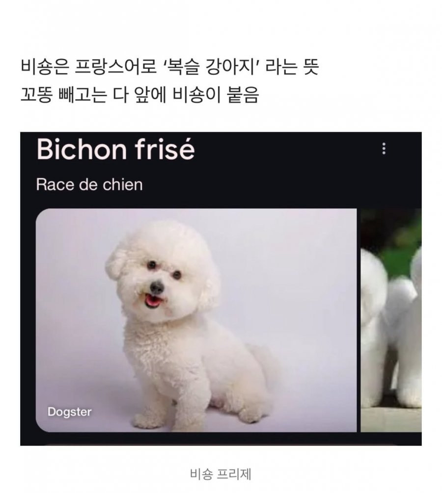 900w_20250909091231_laweeiIamP.jpeg