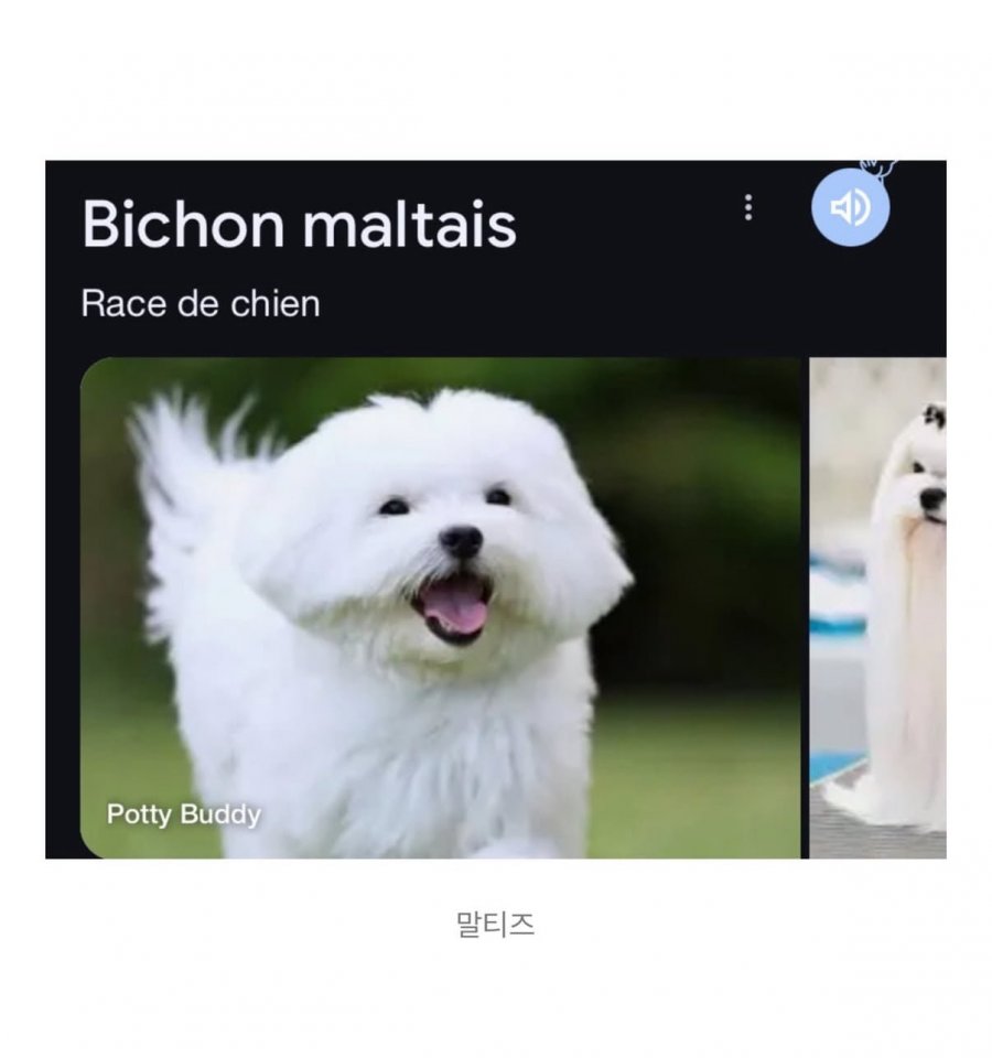 900w_20250909091236_a1FPHDGkbB.jpeg