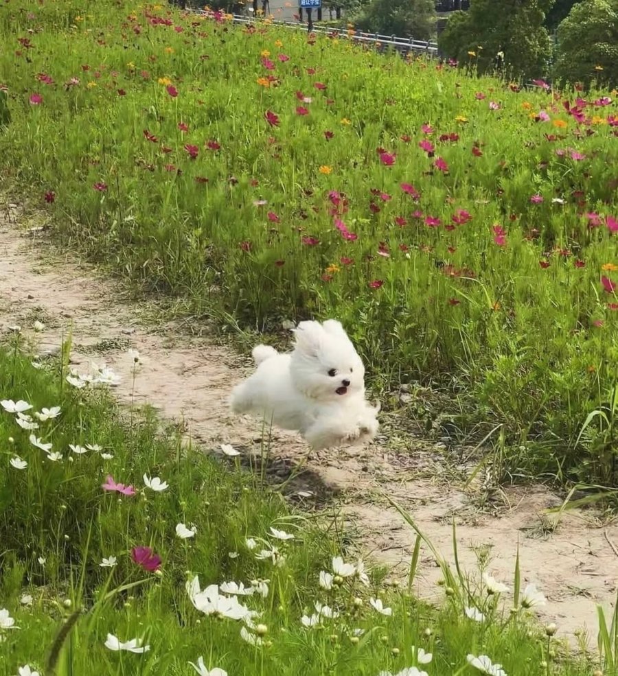 900w_20250909091303_jfopxyJXCw.jpeg