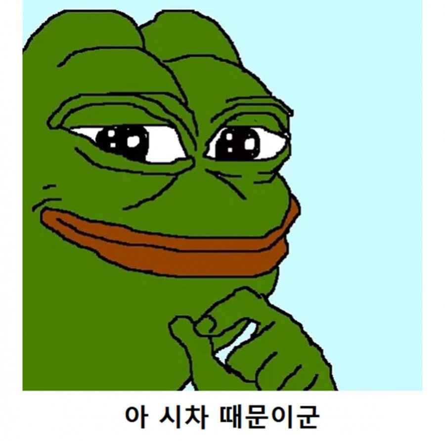 900w_20250911160058_1PMRdzMwzY.jpeg