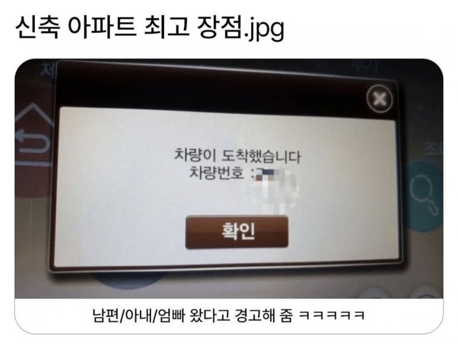 900w_20250911162424_mqBsuCsI5d.jpeg