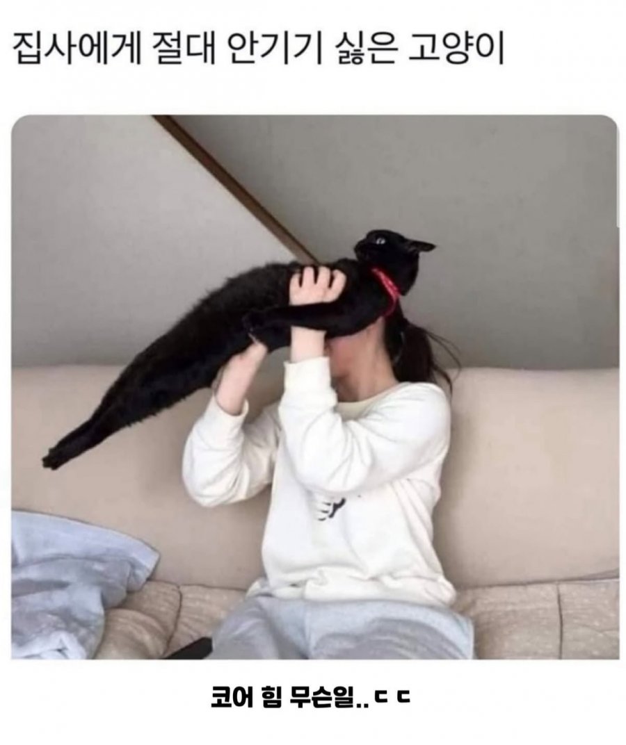900w_20250911180944_xK2TEO3MC2.jpeg