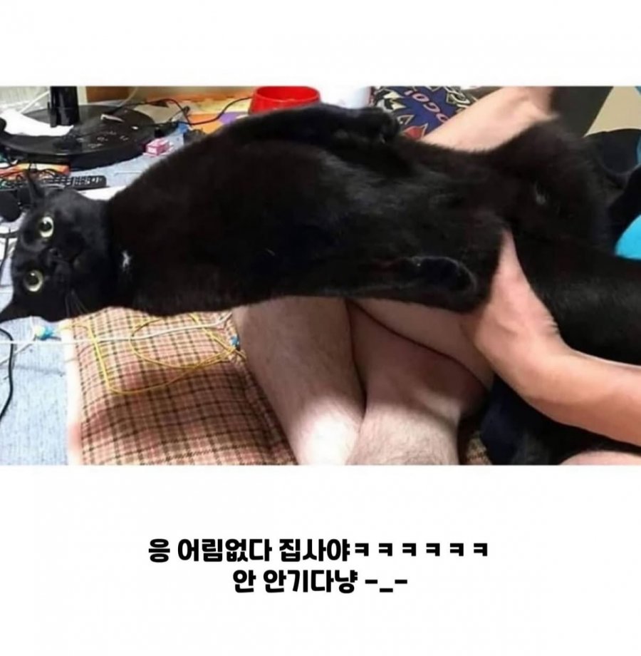 900w_20250911180949_RYl0WQ35hw.jpeg
