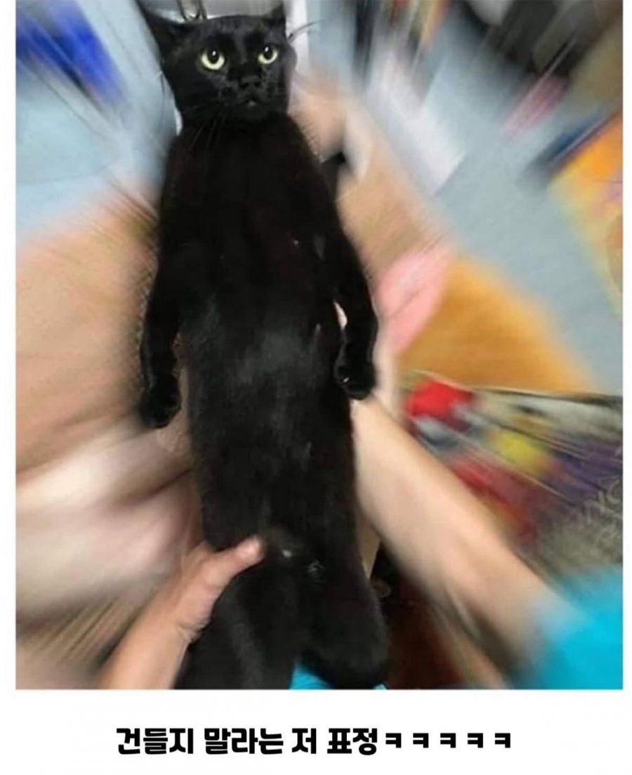 900w_20250911180952_Cmk9jUdTm7.jpeg