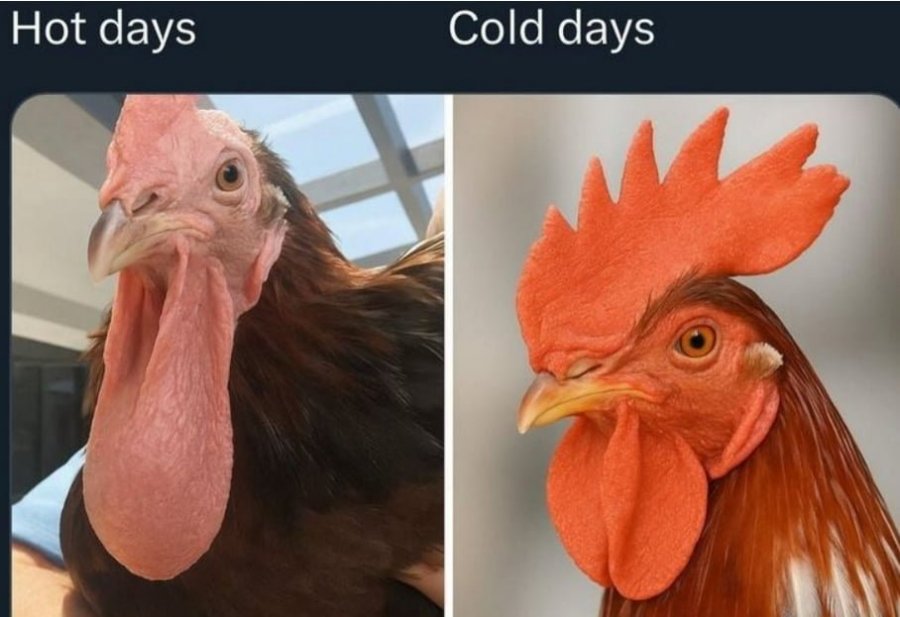 900w_20250912144419_BEprIwA9wD.png