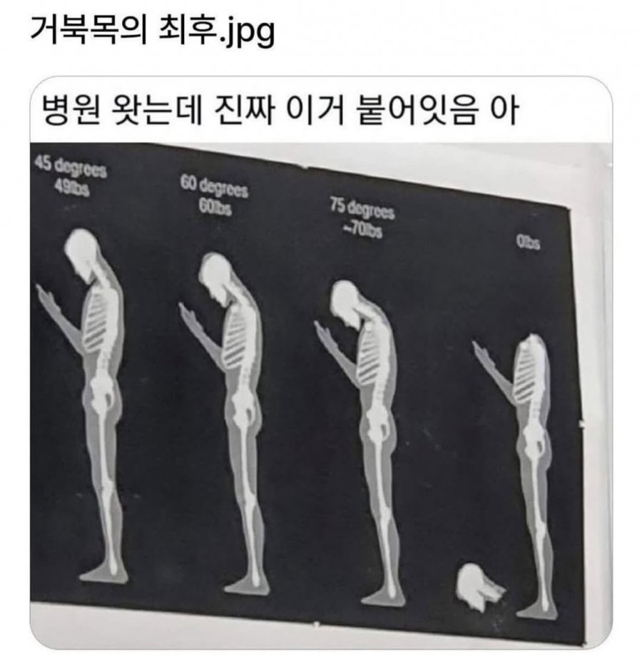 900w_20250915131522_eC5E80fZCU.jpeg