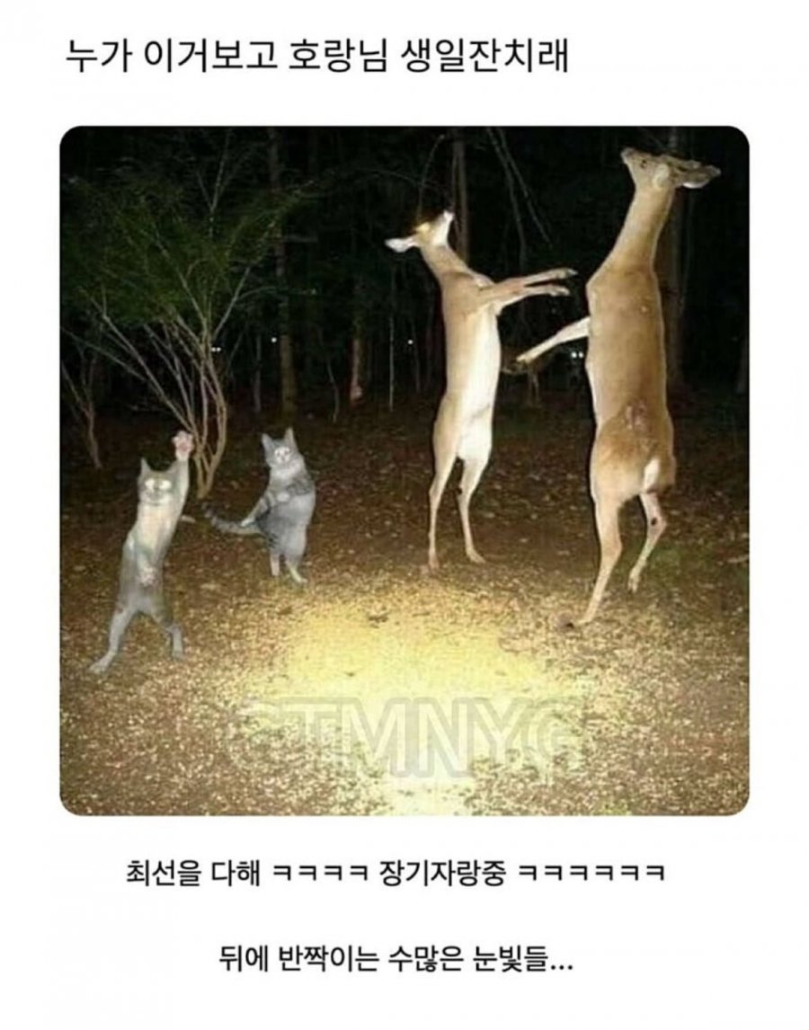 900w_20250917163329_CULtxjc6ch.jpeg
