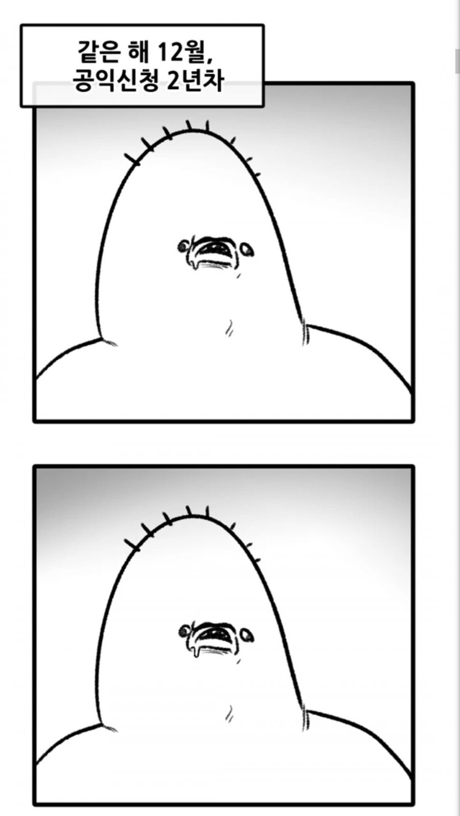 900w_20250917174059_zgrqj0LaKK.jpg