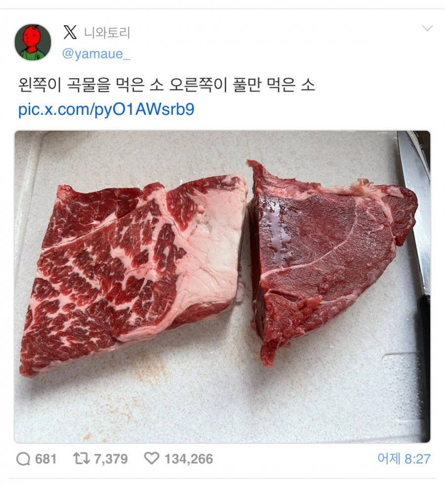 900w_20250918135149_yiFAbwlJcn.jpeg
