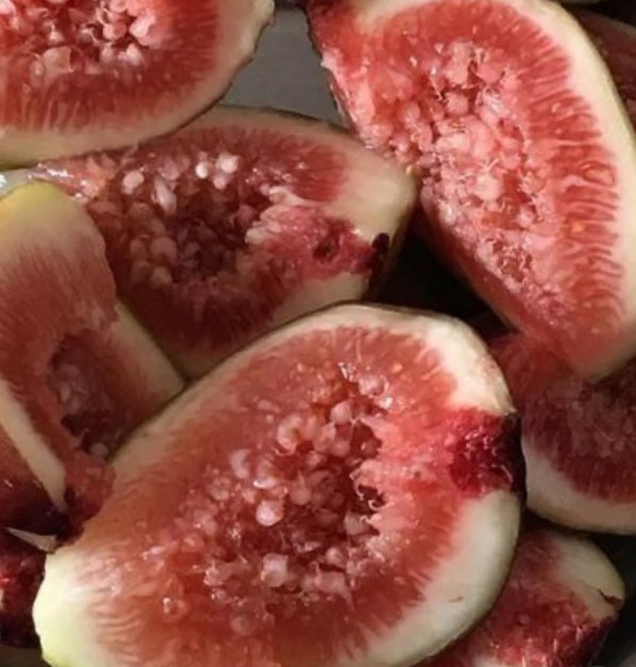 900w_20250918175819_9a0PPKBJu6.jpeg