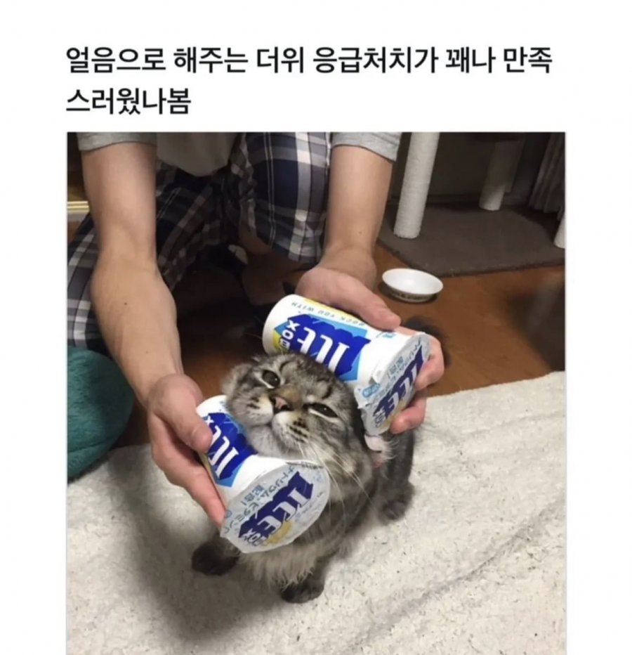 900w_20250922154152_ZXFgnqAYOB.jpeg