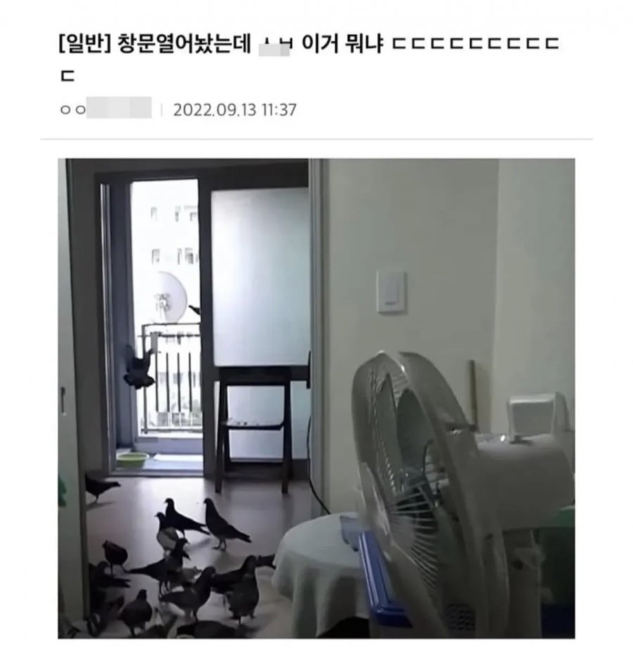 900w_20250923170759_xDaeSnfhvp.jpeg