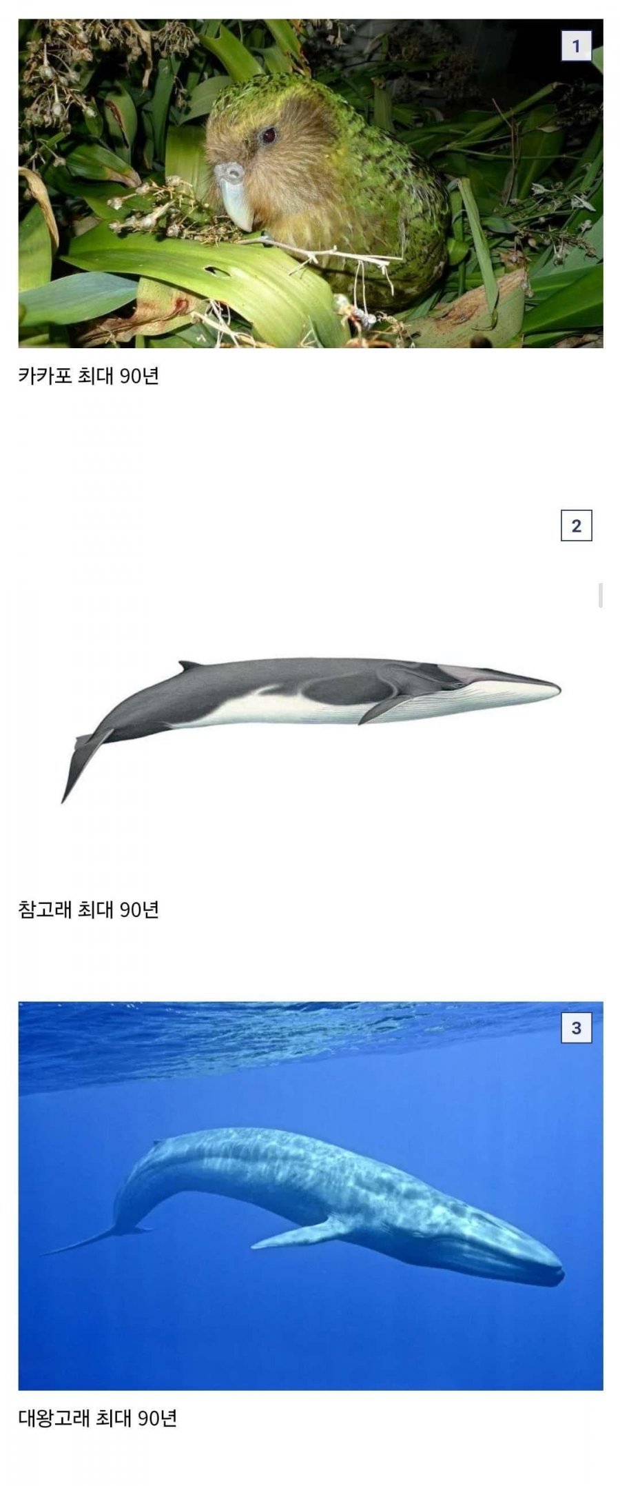 900w_20250924070838_lrMaOdhtQz.jpg