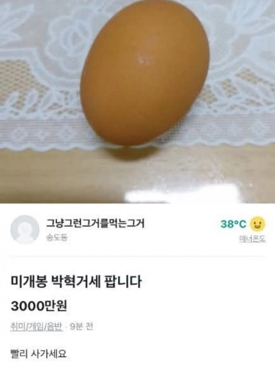 900w_20250924122458_RAbm1JEKDq.jpeg