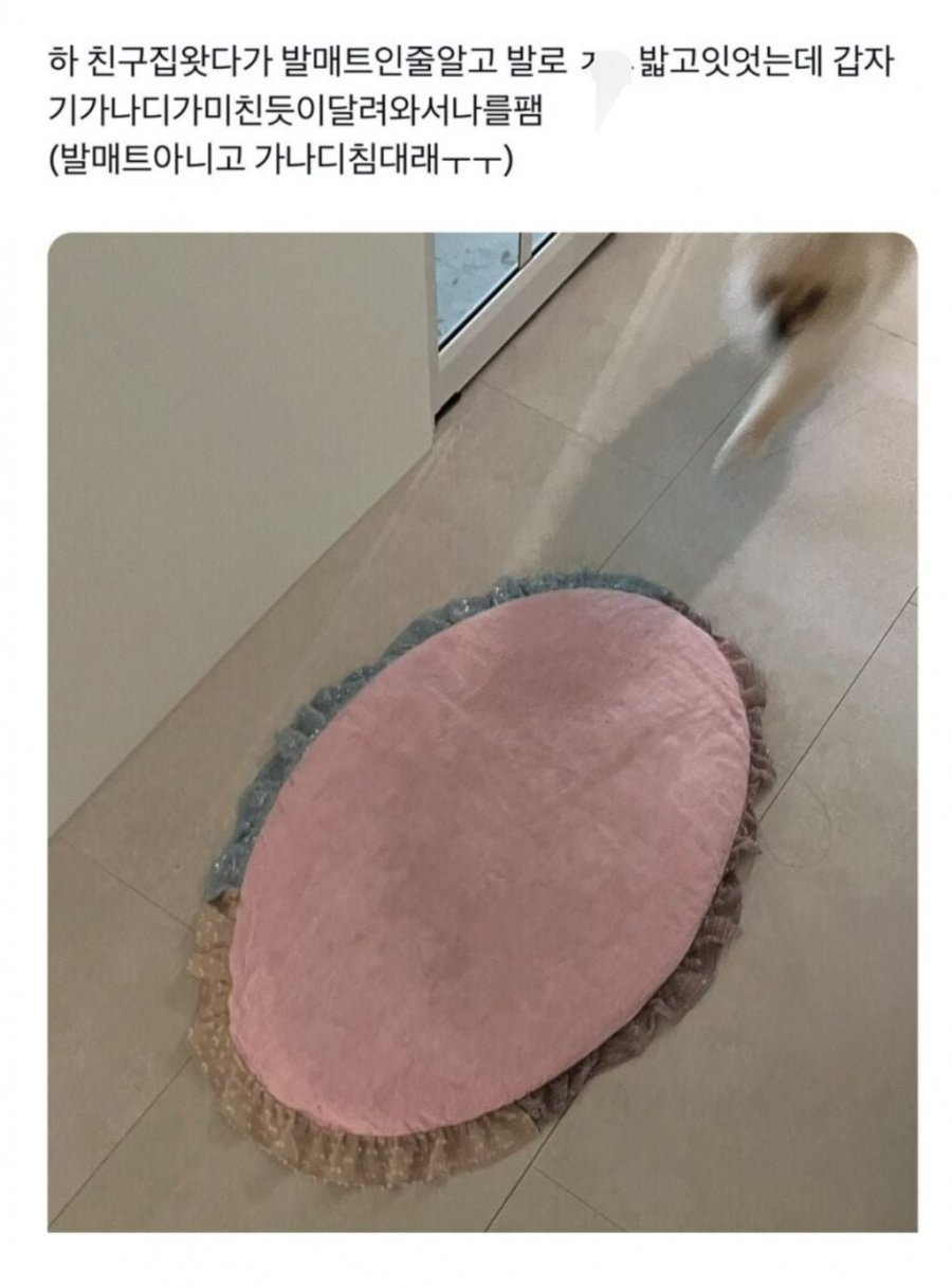 900w_20250924124850_vPPl2K4kdk.jpeg