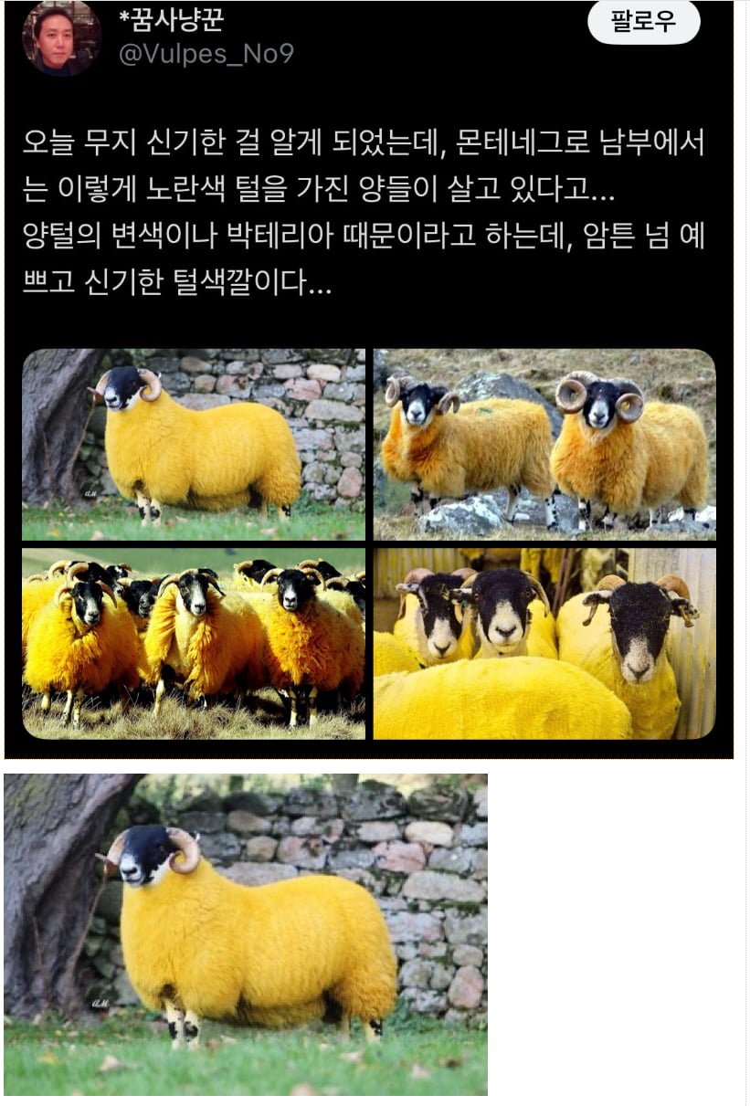 20251003223021_FA3vBh4a8G.png