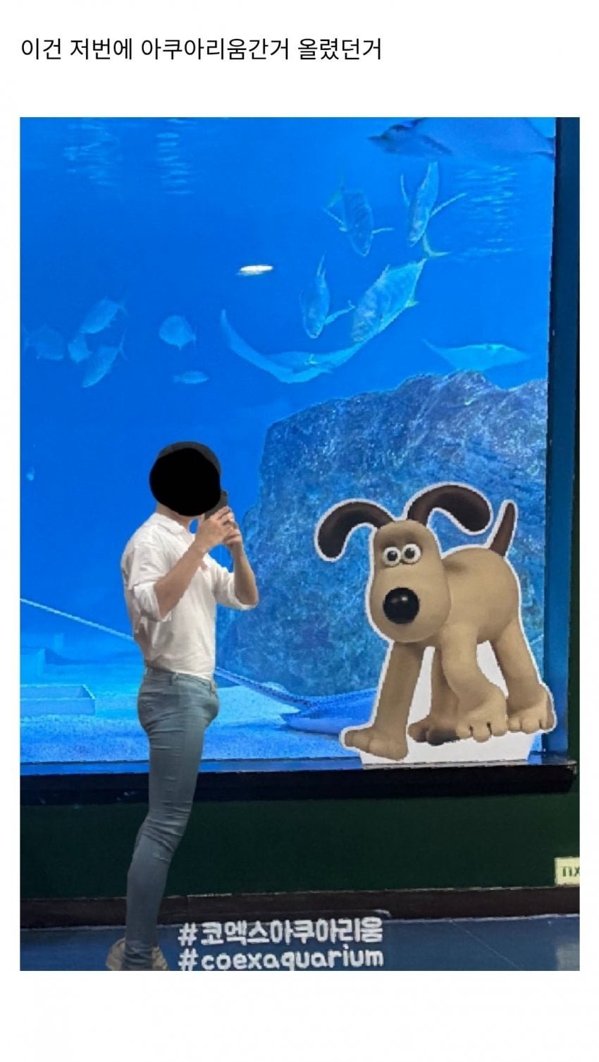 20251013112737_dYHWJTBNdr.jpg