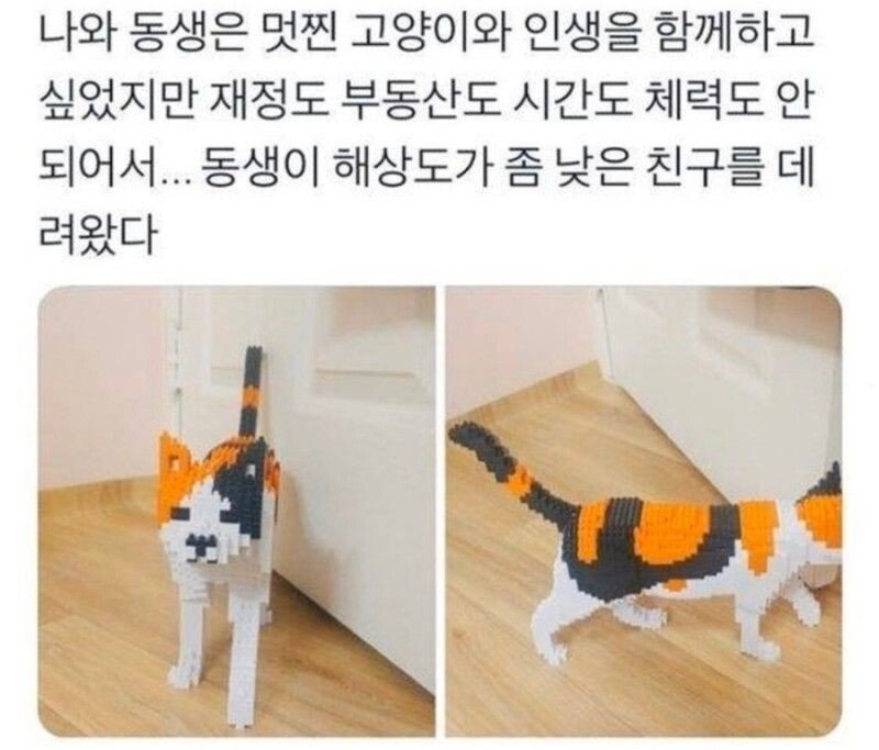 20251014162818_2b8IiDLaWq.jpeg