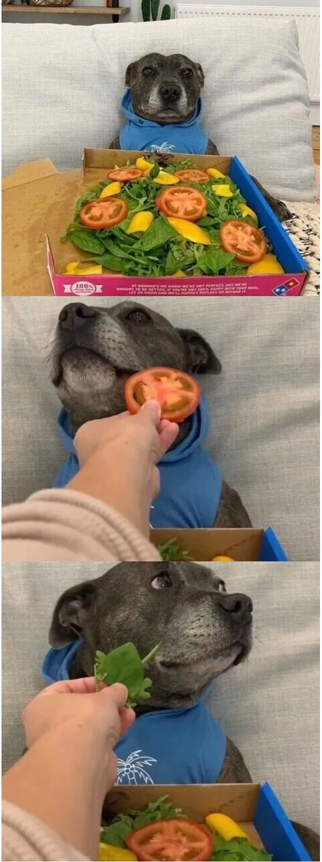 20251015172419_sbYaXFbxVk.png