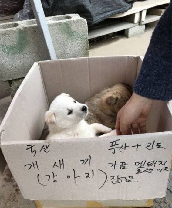 20251016085040_rjaE9zPp2g.jpg