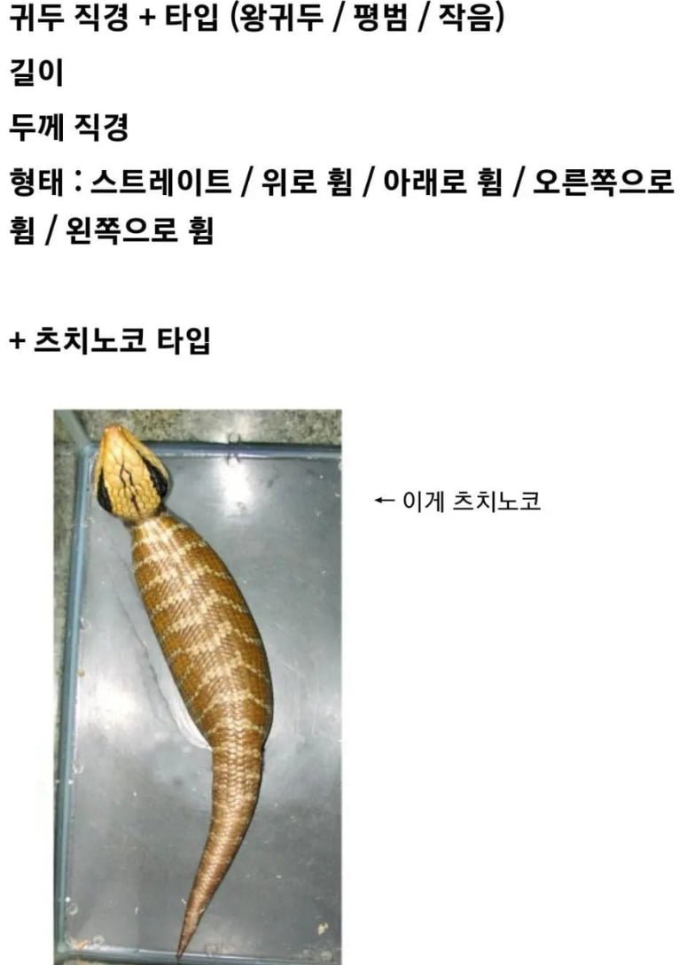 20251016122443_hw0nzTcUjU.png