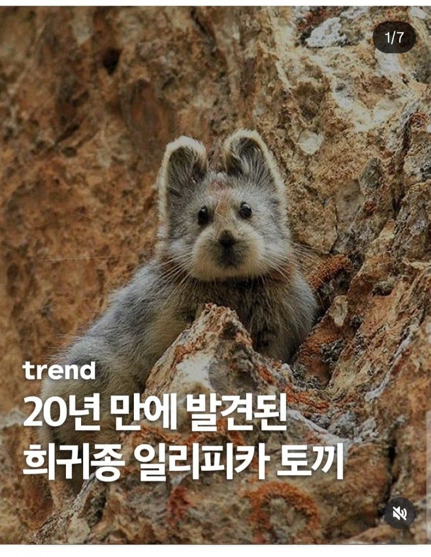 20251017215337_eCBFk5LoUP.jpg