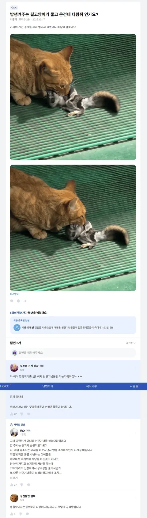 20251021125602_CZf4lyeKyI.png