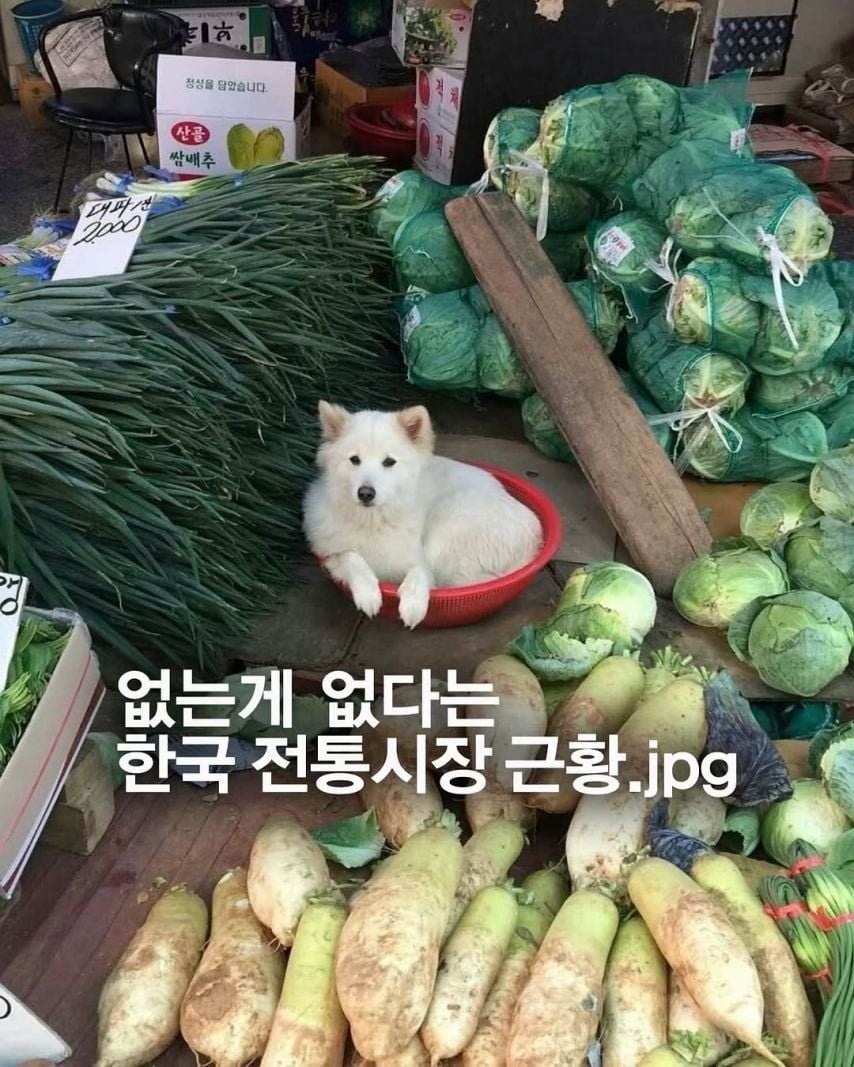 20251022111557_BdG9lPCAtY.jpeg