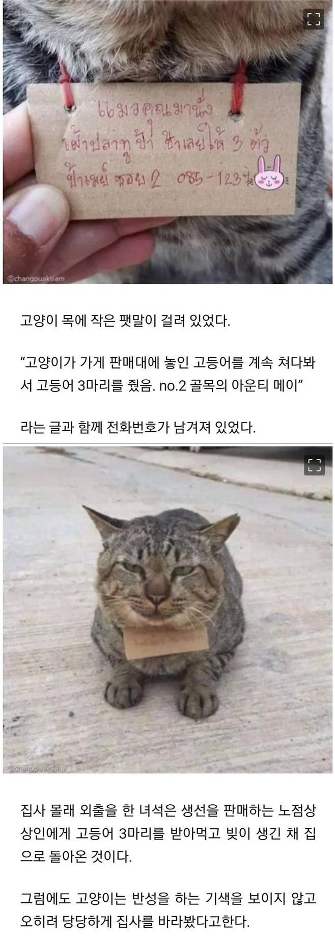 20251024143658_qVzR62pkaz.jpg
