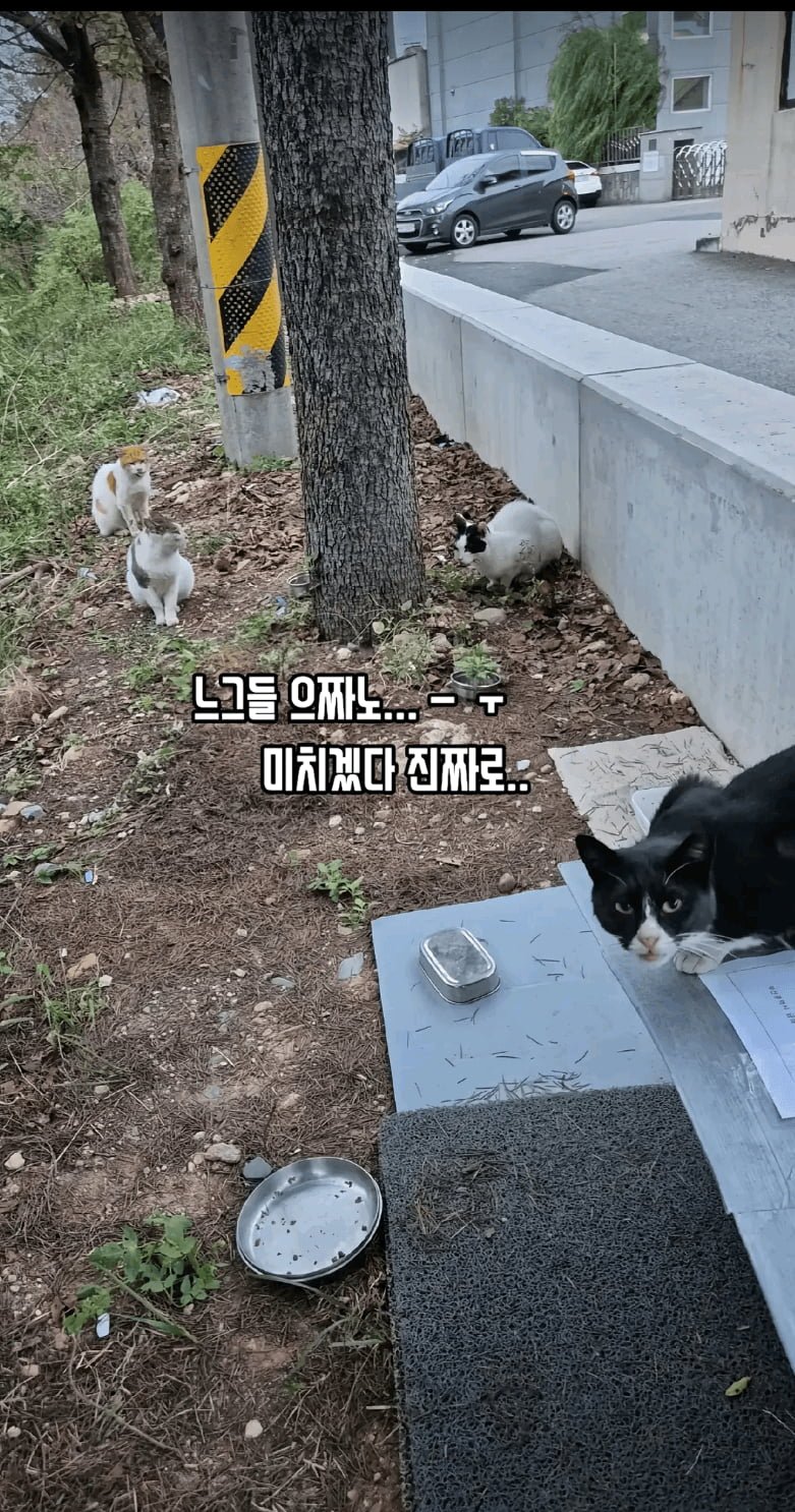 20251025144633_J2g3AtwAf0.png